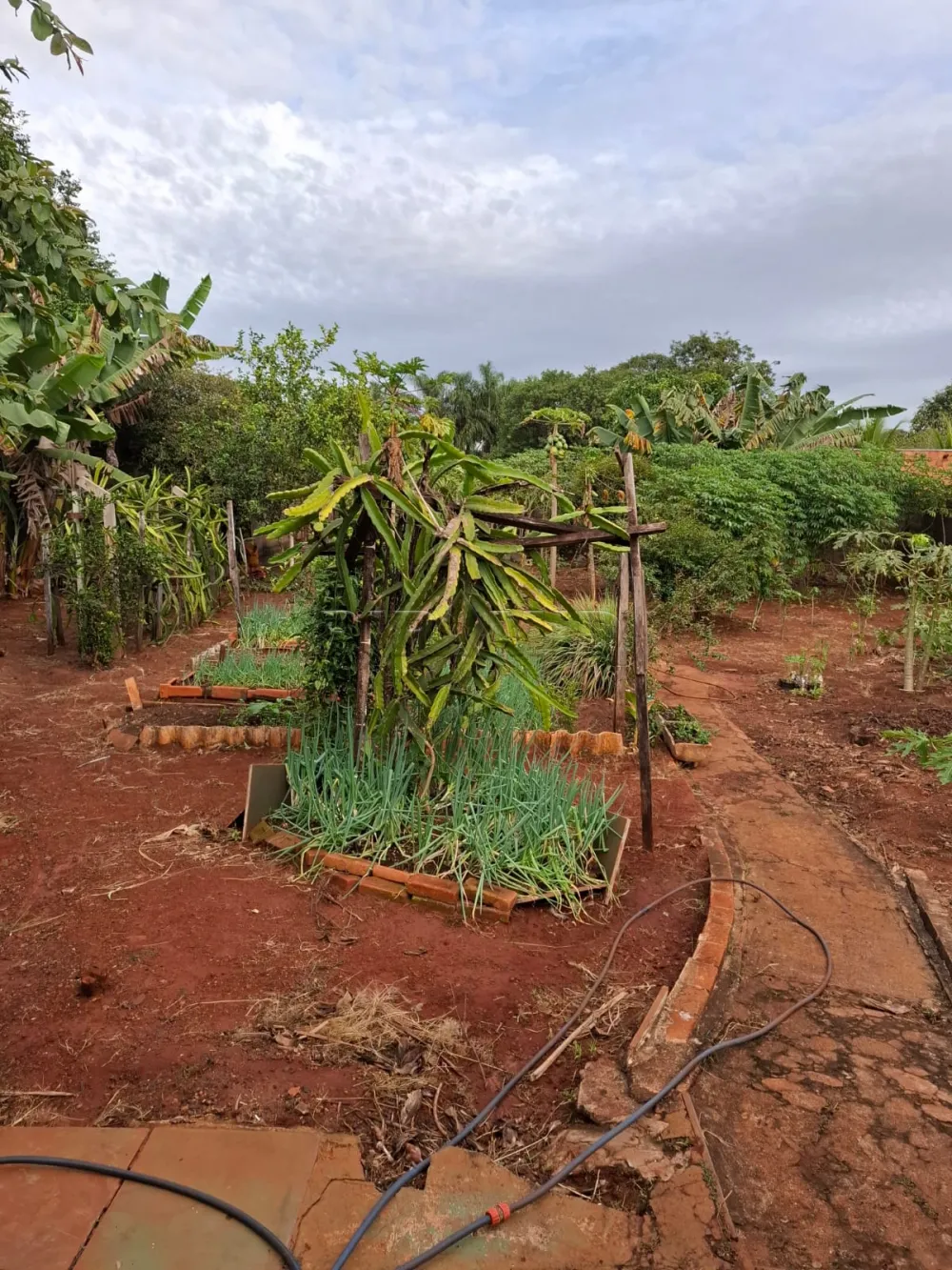 Comprar Rural / Ch&aacute;cara em Ribeir&atilde;o Preto R$ 650.000,00 - Foto 27