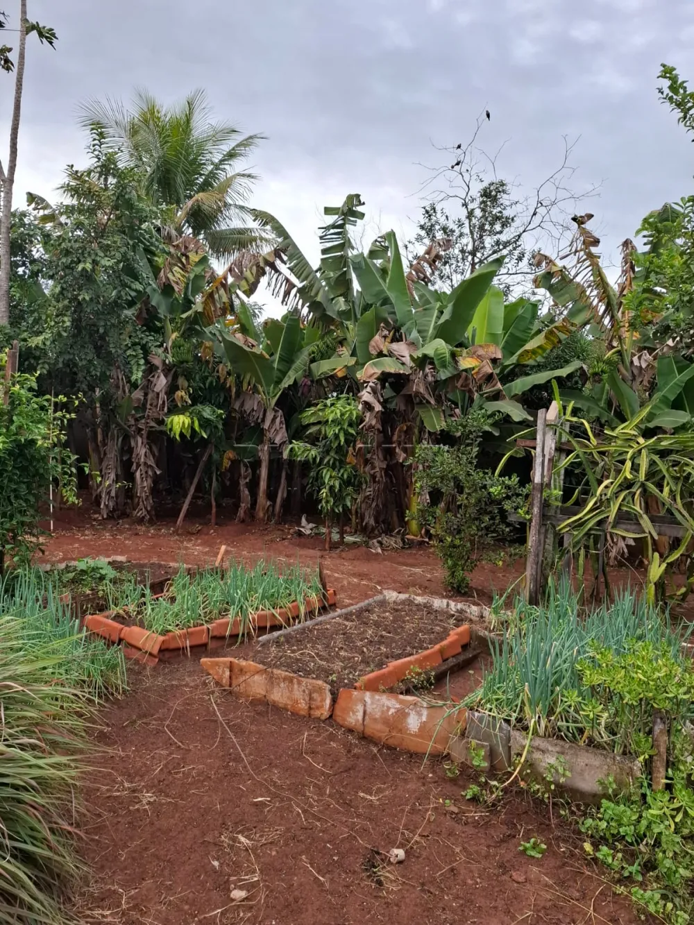 Comprar Rural / Ch&aacute;cara em Ribeir&atilde;o Preto R$ 650.000,00 - Foto 34