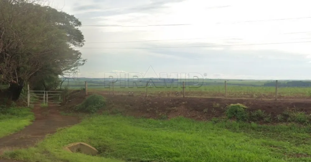 Comprar Terreno / &Aacute;rea em Jardin&oacute;polis R$ 28.000.000,00 - Foto 2