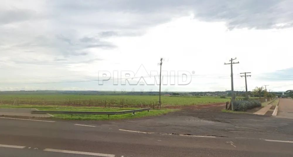 Comprar Terreno / &Aacute;rea em Jardin&oacute;polis R$ 28.000.000,00 - Foto 1