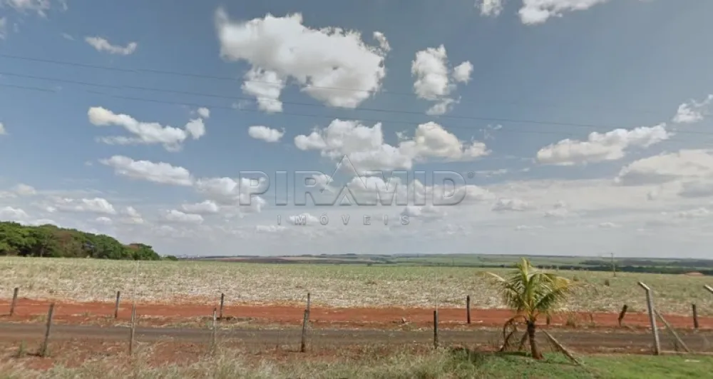 Comprar Terreno / &Aacute;rea em Jardin&oacute;polis R$ 28.000.000,00 - Foto 3