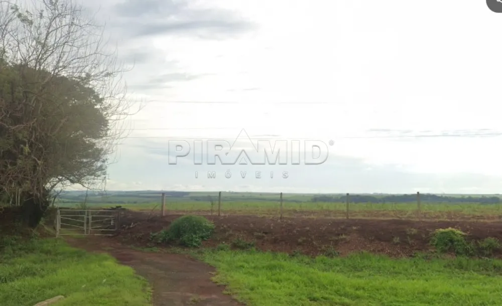 Comprar Terreno / &Aacute;rea em Jardin&oacute;polis R$ 28.000.000,00 - Foto 4