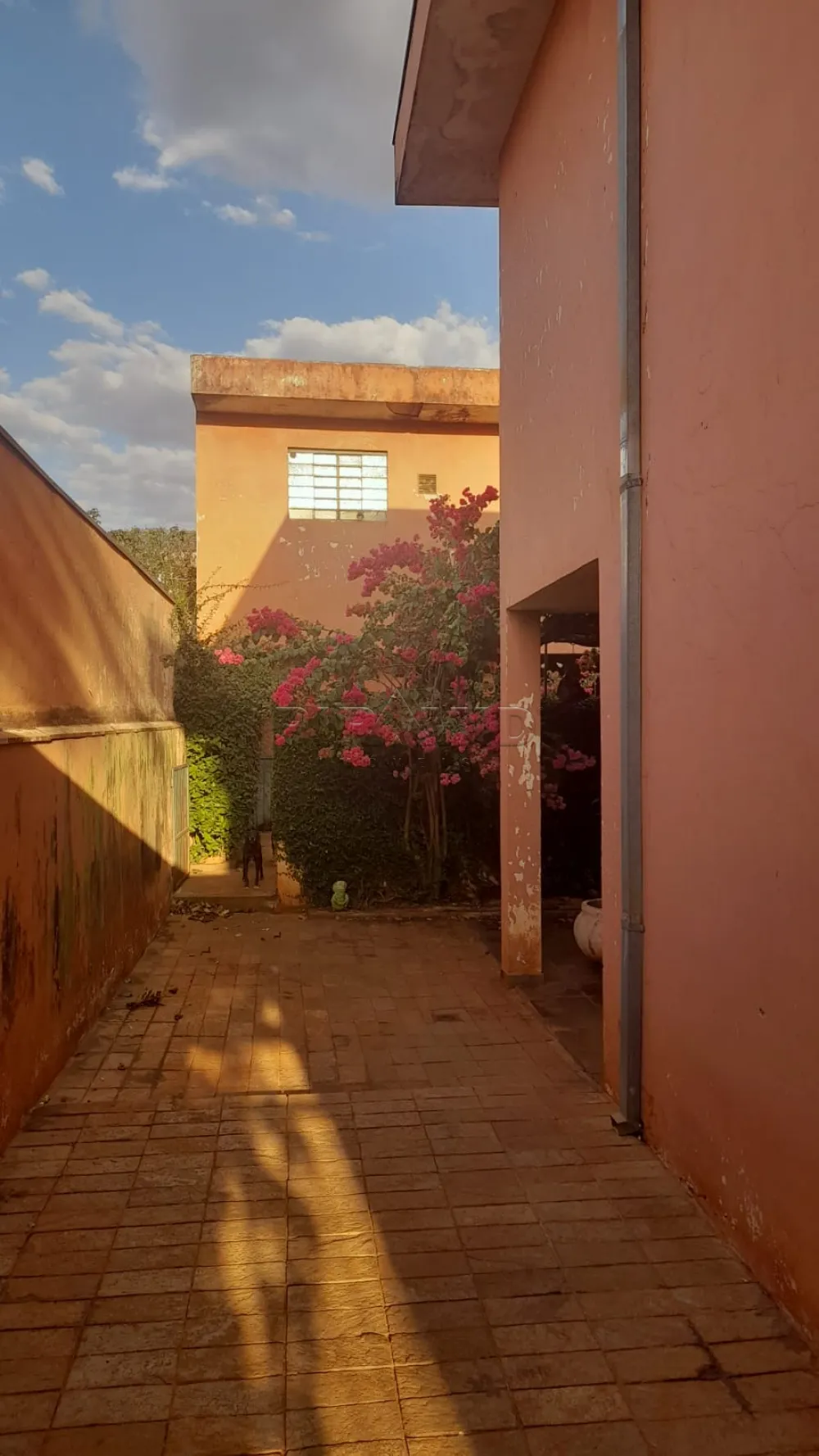 Comprar Casa / Padr&atilde;o em Ribeir&atilde;o Preto R$ 690.000,00 - Foto 11