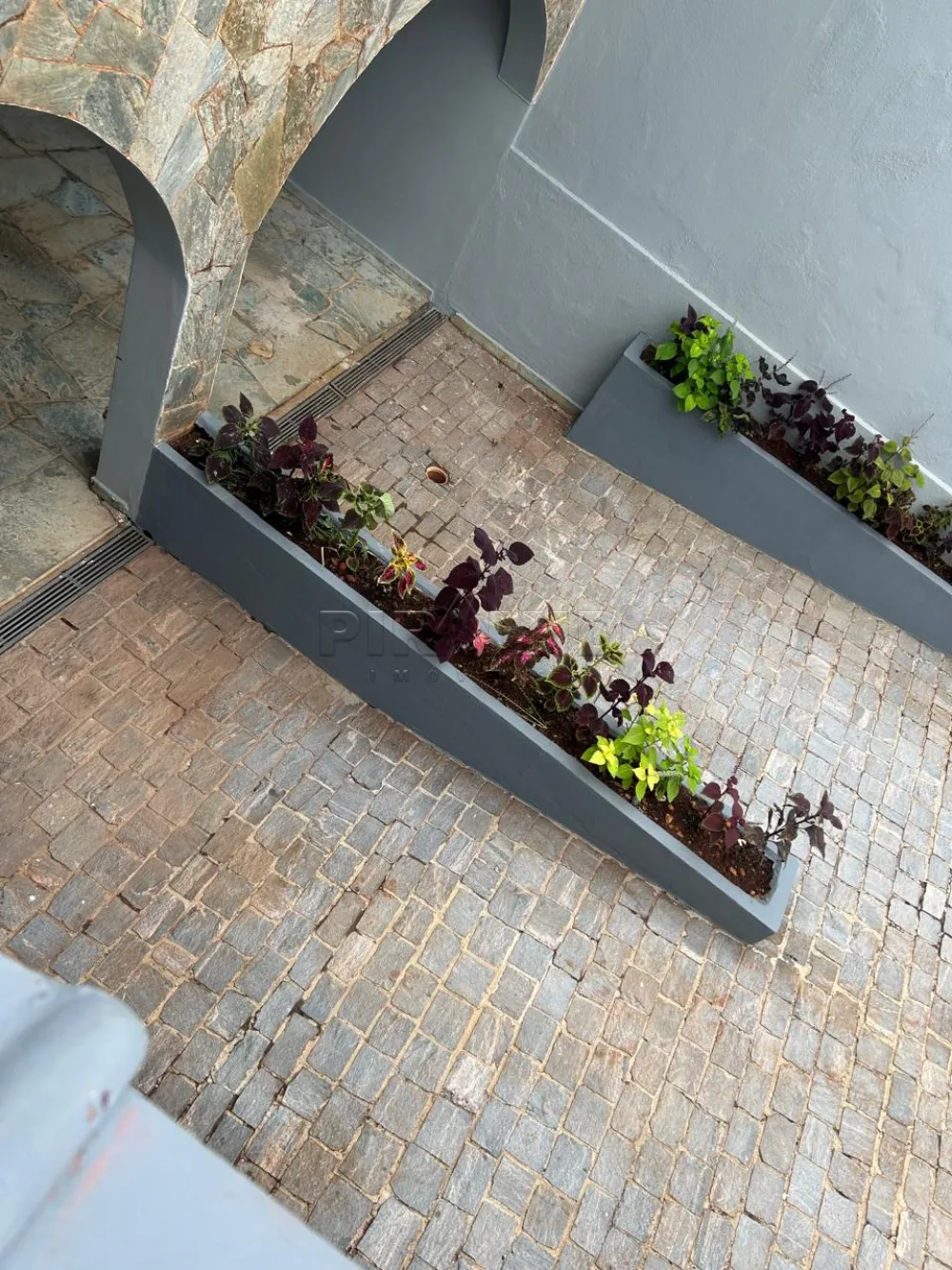 Alugar Casa / Padr&atilde;o em Ribeir&atilde;o Preto R$ 7.900,00 - Foto 6