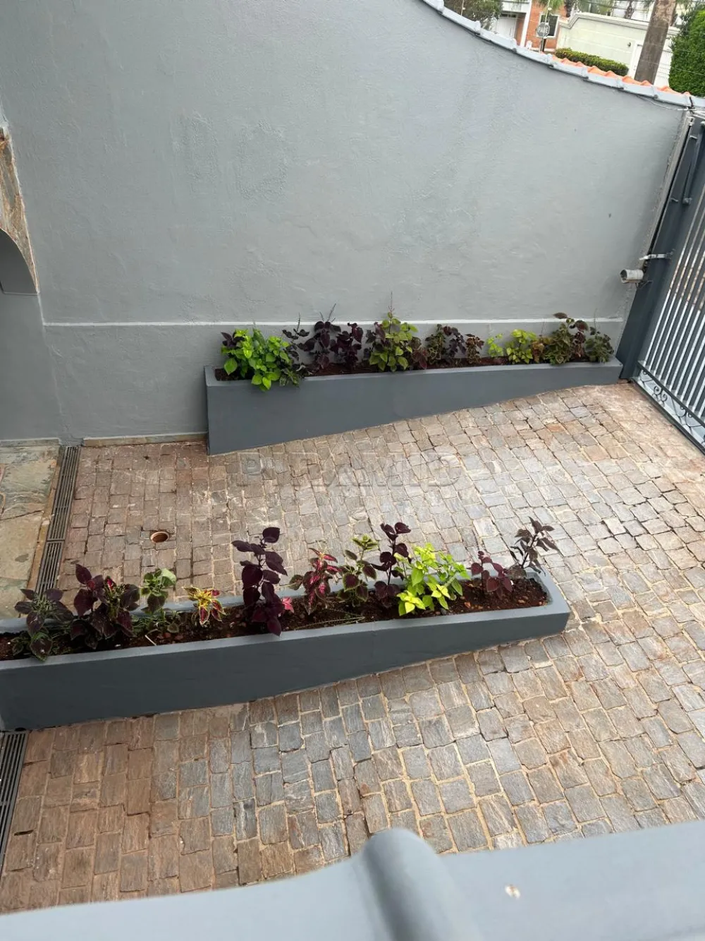 Alugar Casa / Padr&atilde;o em Ribeir&atilde;o Preto R$ 7.900,00 - Foto 7