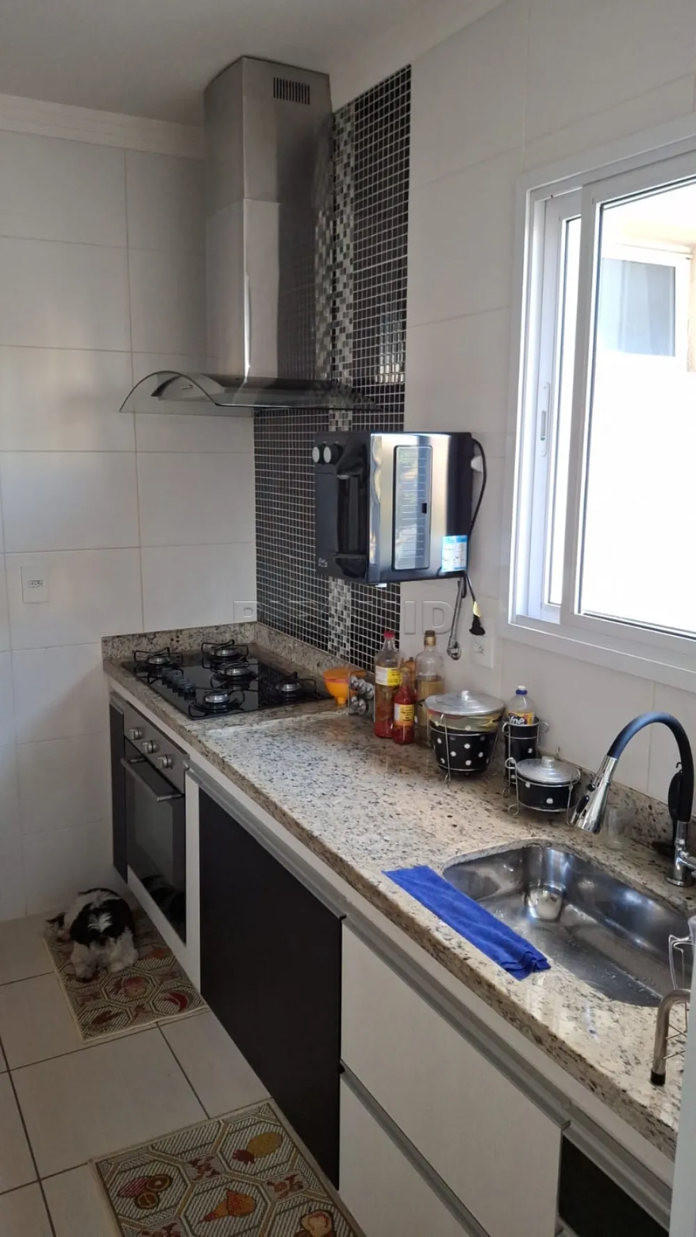 Alugar Apartamento / Padr&atilde;o em Ribeir&atilde;o Preto R$ 2.600,00 - Foto 3
