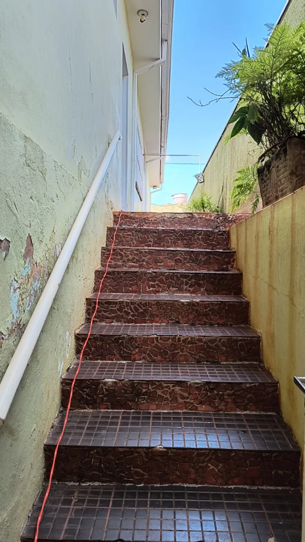 Comprar Casa / Padr&atilde;o em Ribeir&atilde;o Preto R$ 450.000,00 - Foto 2