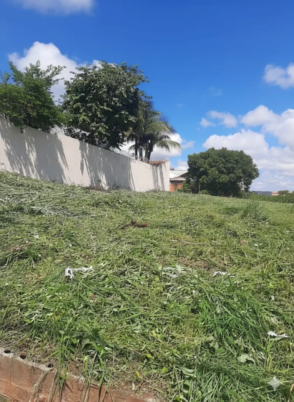 Comprar Terreno / Terreno em Ribeir&atilde;o Preto R$ 477.000,00 - Foto 1