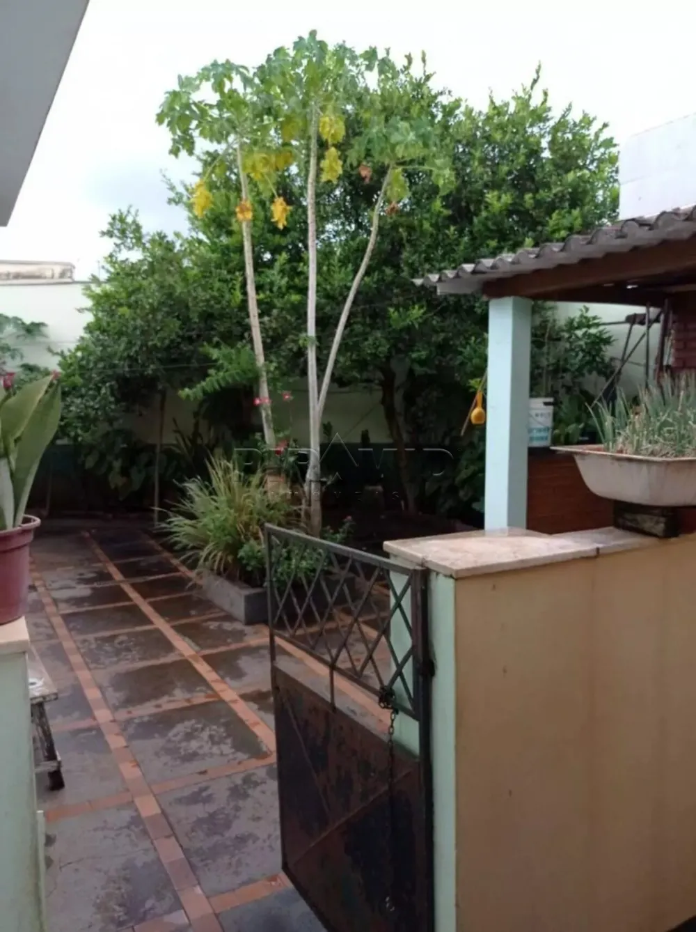 Comprar Casa / Padr&atilde;o em Ribeir&atilde;o Preto R$ 485.000,00 - Foto 14