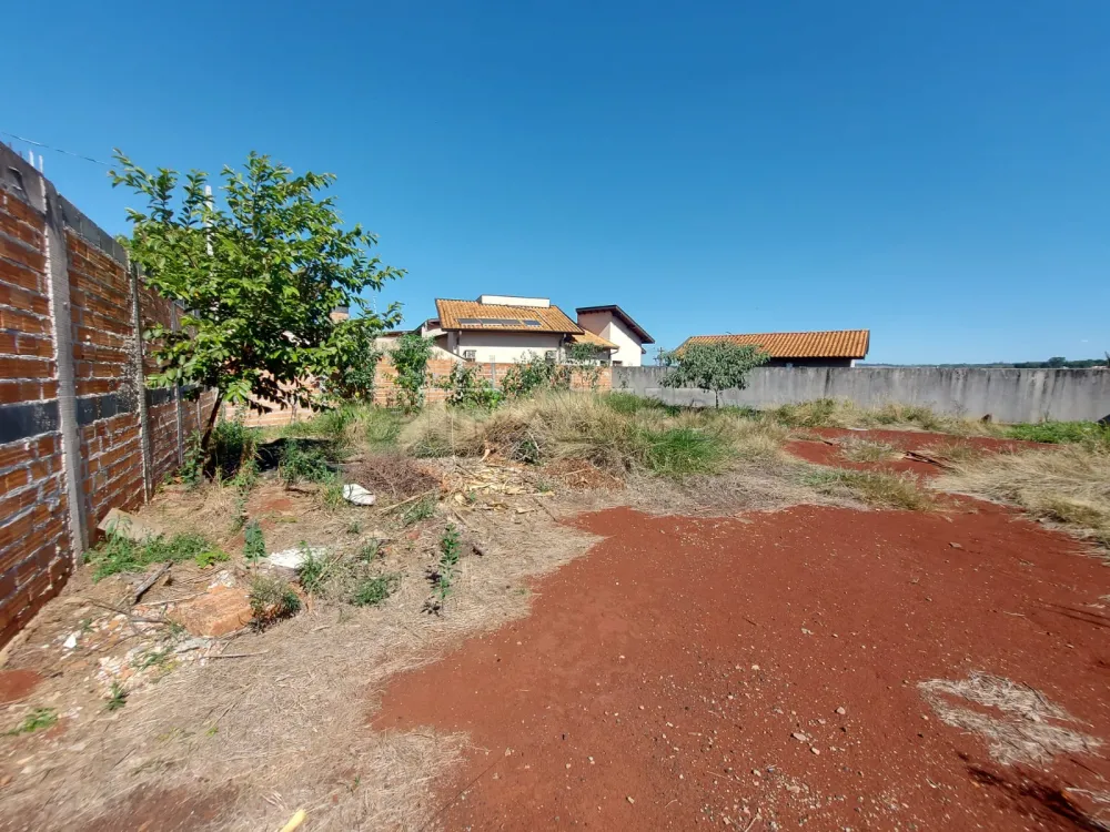 Comprar Terreno / Terreno em Ribeir&atilde;o Preto R$ 390.000,00 - Foto 3