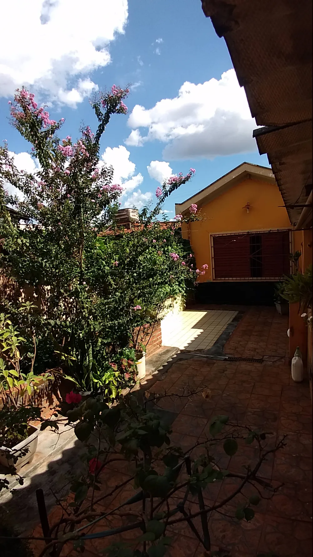 Comprar Casa / Padr&atilde;o em Ribeir&atilde;o Preto R$ 310.000,00 - Foto 46