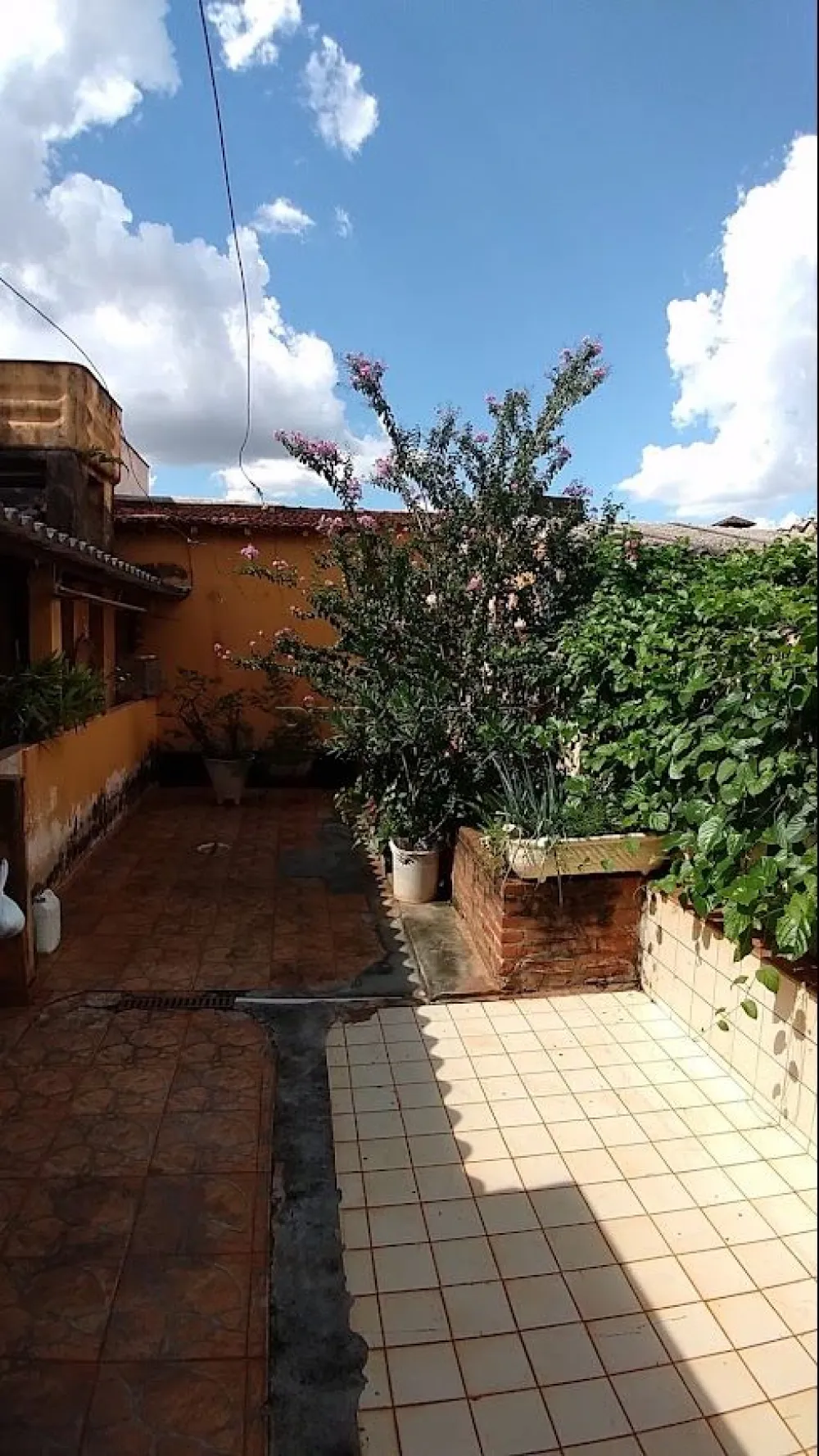 Comprar Casa / Padr&atilde;o em Ribeir&atilde;o Preto R$ 310.000,00 - Foto 50