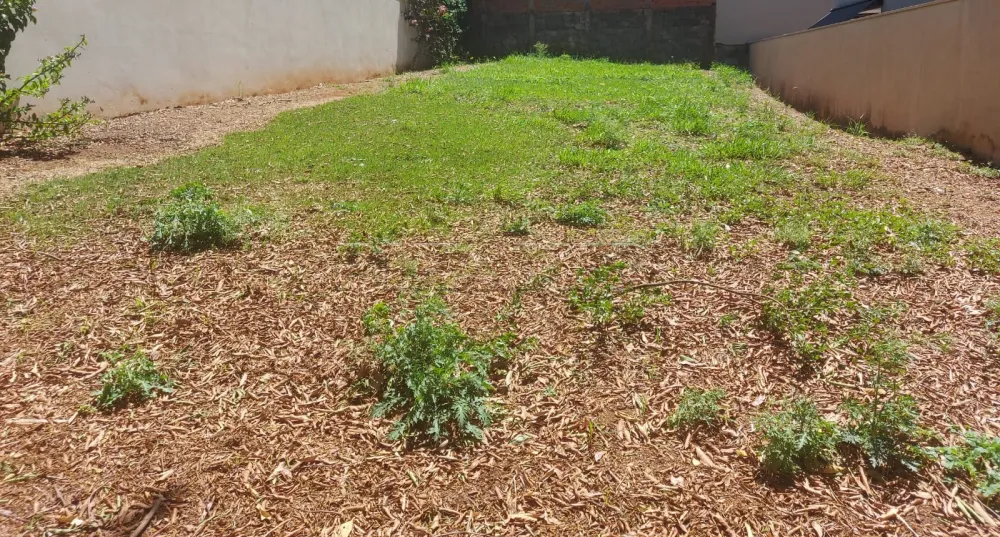 Comprar Terreno / Condom&iacute;nio em Ribeir&atilde;o Preto R$ 850.000,00 - Foto 1