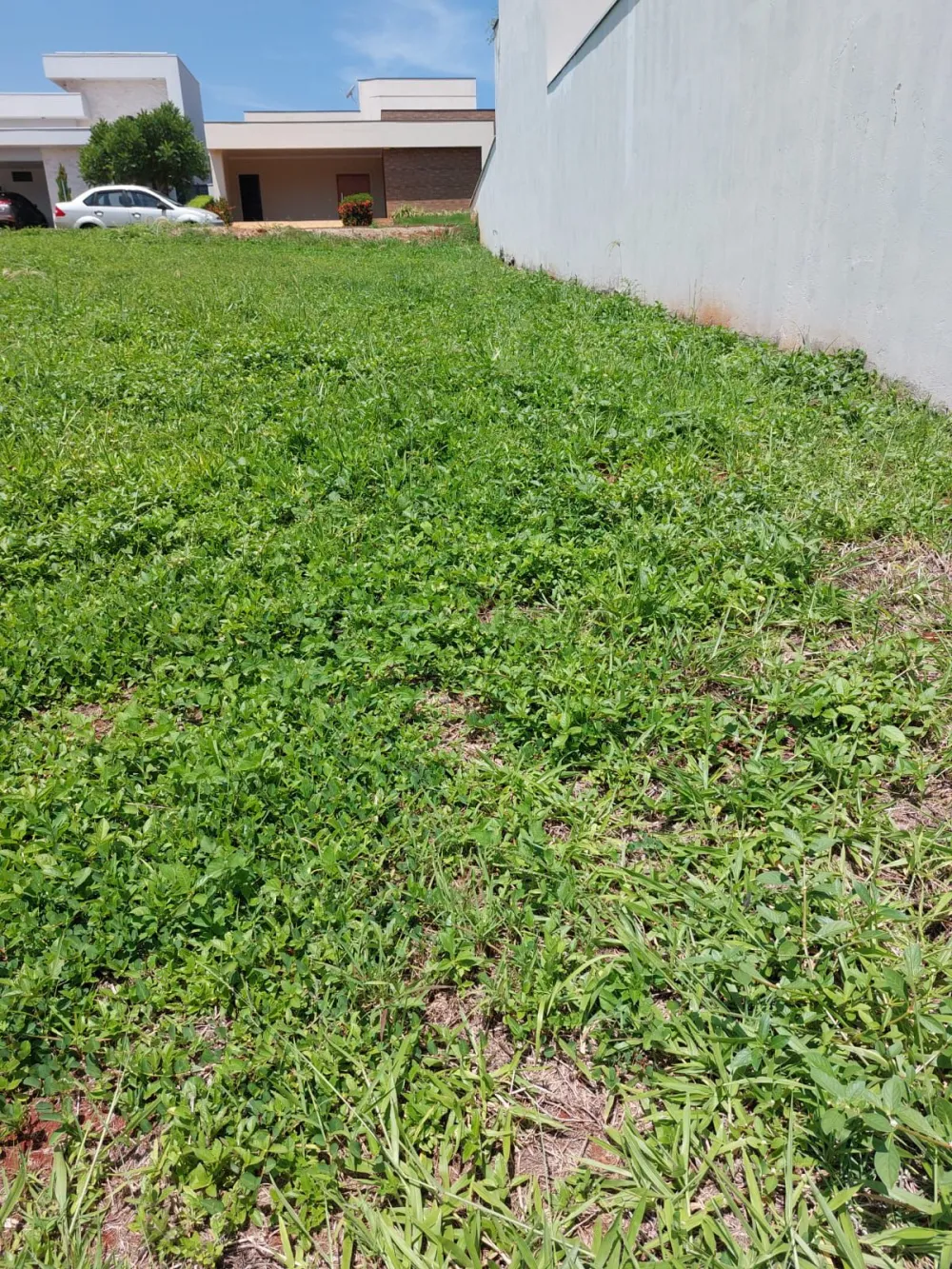 Comprar Terreno / Condom&iacute;nio em Ribeir&atilde;o Preto R$ 780.000,00 - Foto 2