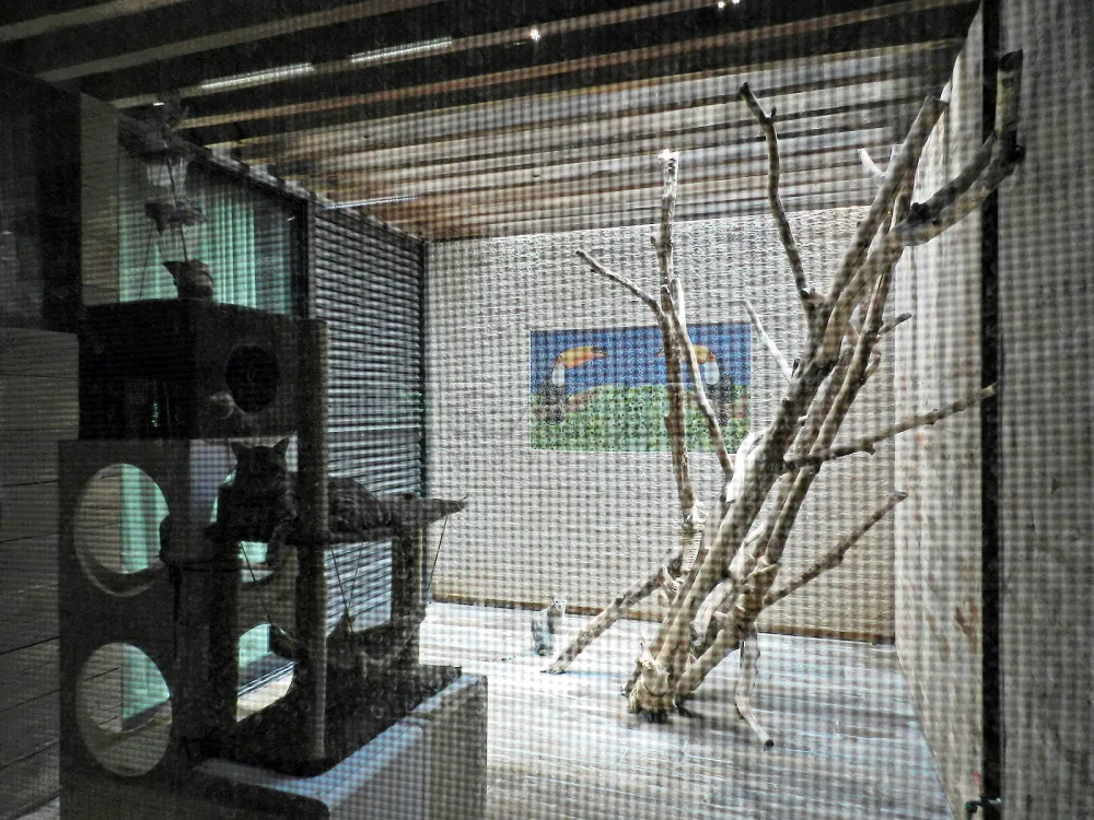 Comprar Casa / Padr&atilde;o em Ribeir&atilde;o Preto R$ 3.250.000,00 - Foto 57