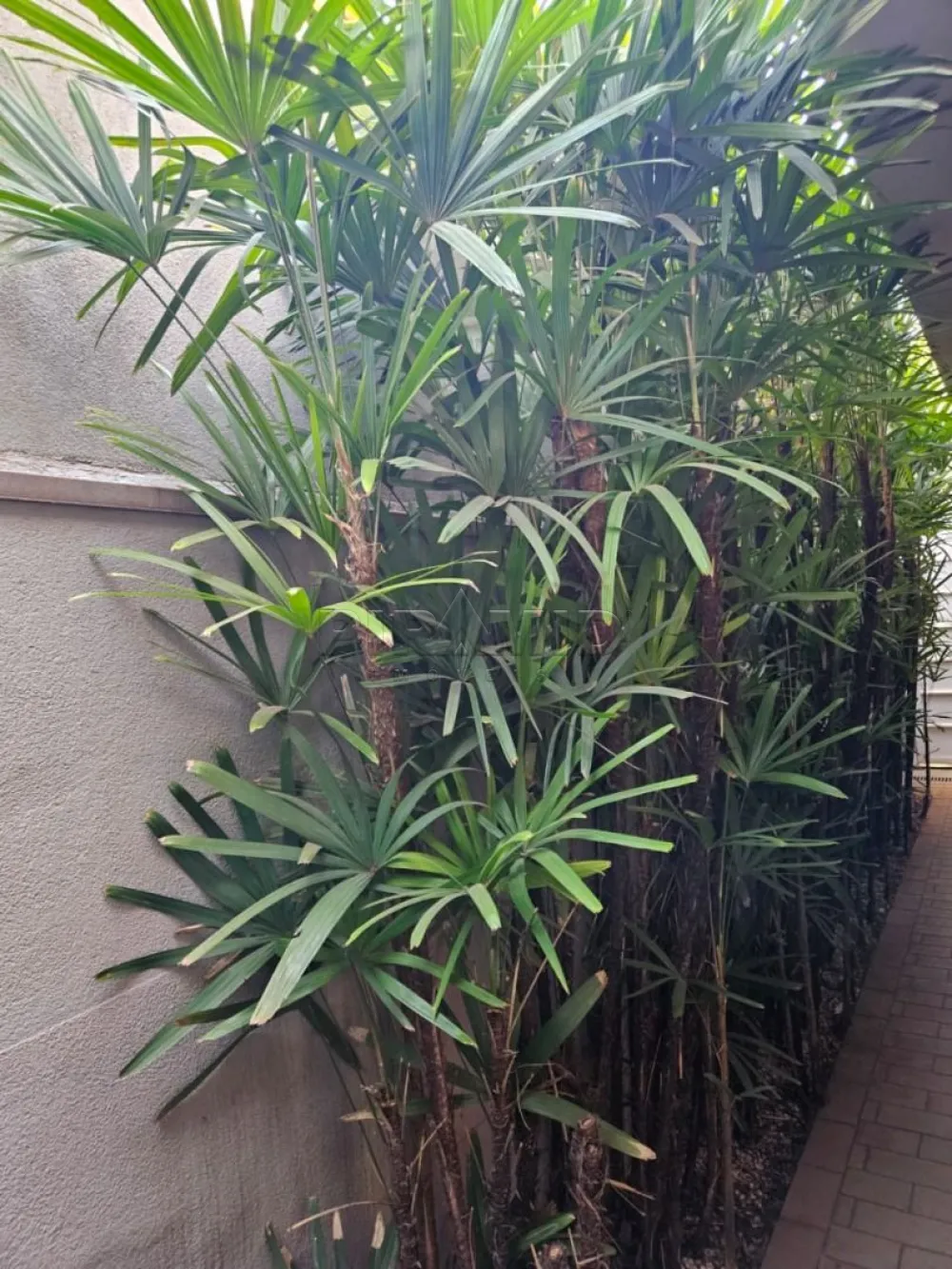 Comprar Casa / Condom&iacute;nio em Ribeir&atilde;o Preto R$ 1.280.000,00 - Foto 16