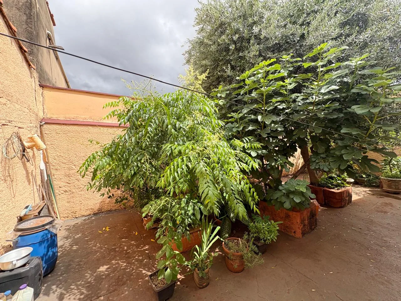 Comprar Casa / Padr&atilde;o em Ribeir&atilde;o Preto R$ 500.000,00 - Foto 17