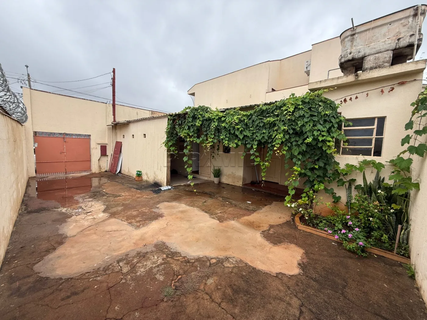Alugar Casa / Padr&atilde;o em Ribeir&atilde;o Preto R$ 1.450,00 - Foto 9