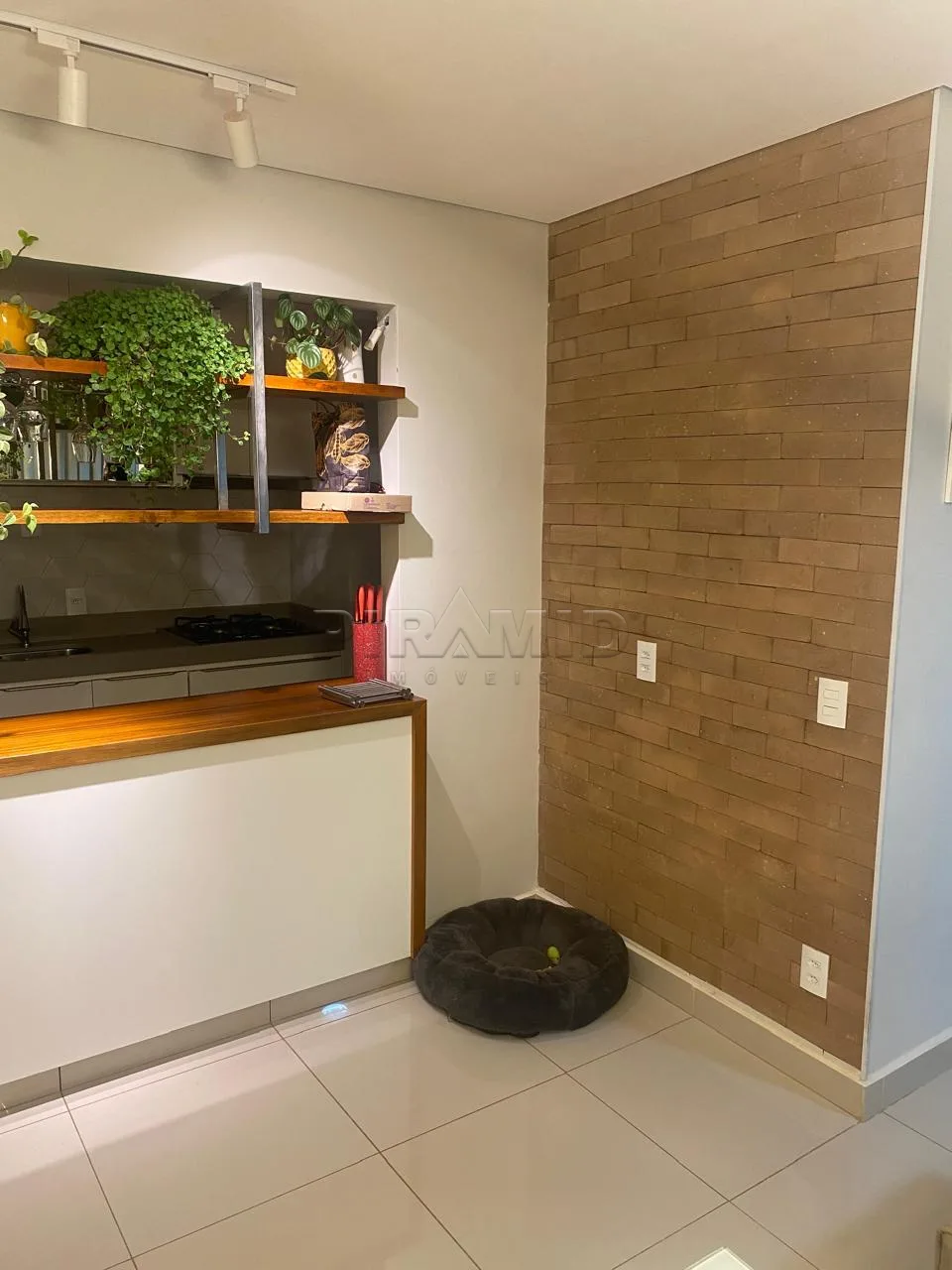 Alugar Apartamento / Padr&atilde;o em Ribeir&atilde;o Preto R$ 1.600,00 - Foto 3