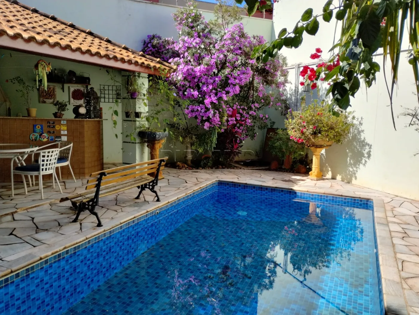 Alugar Casa / Padr&atilde;o em Ribeir&atilde;o Preto R$ 9.700,00 - Foto 1