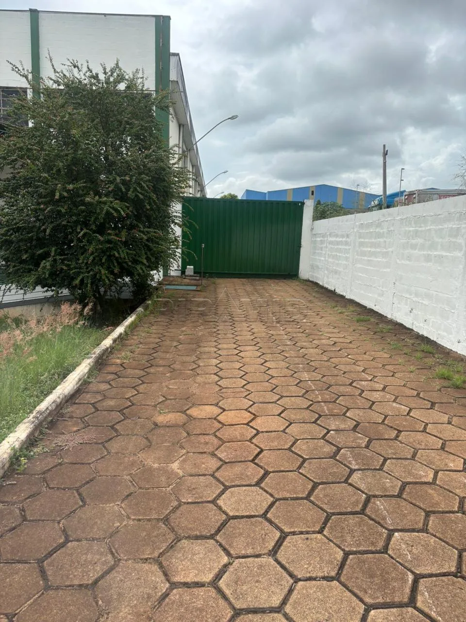 Alugar Comercial / Galp&atilde;o  Barrac&atilde;o em Ribeir&atilde;o Preto R$ 27.000,00 - Foto 4