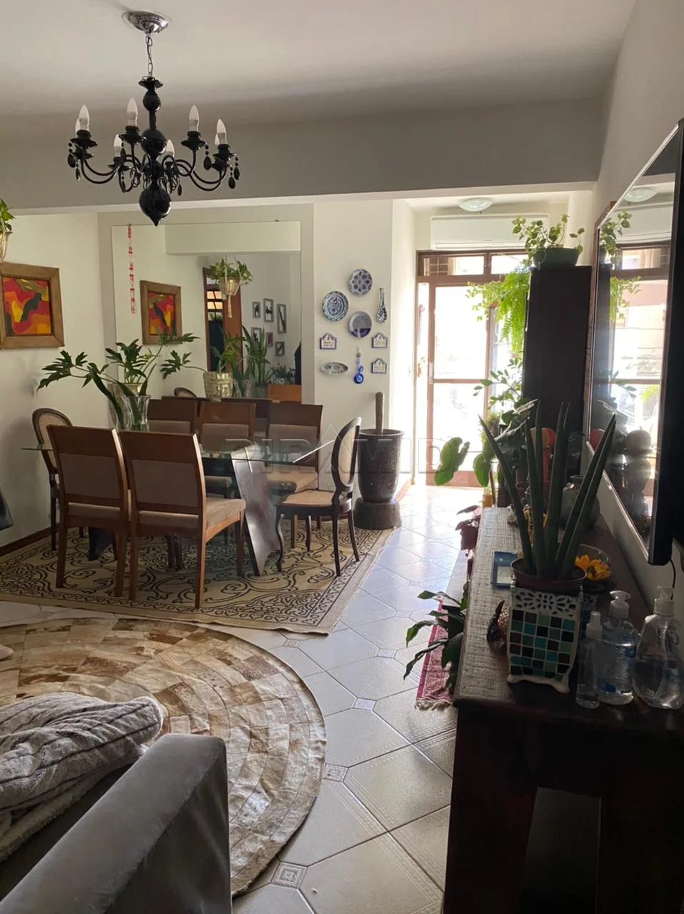 Alugar Apartamento / Padr&atilde;o em Ribeir&atilde;o Preto R$ 900,00 - Foto 1