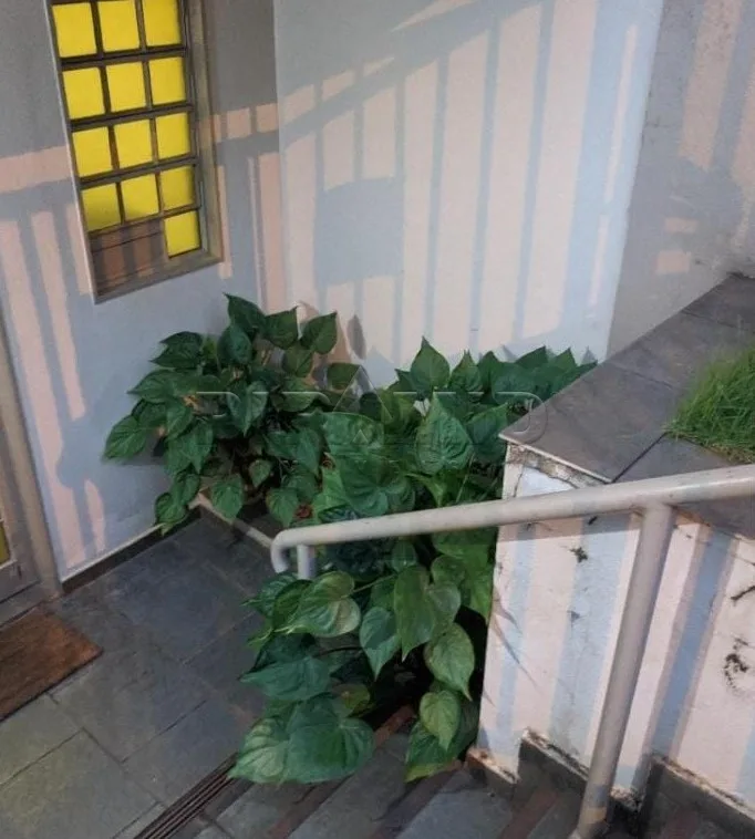 Alugar Apartamento / Padr&atilde;o em Ribeir&atilde;o Preto R$ 1.600,00 - Foto 15