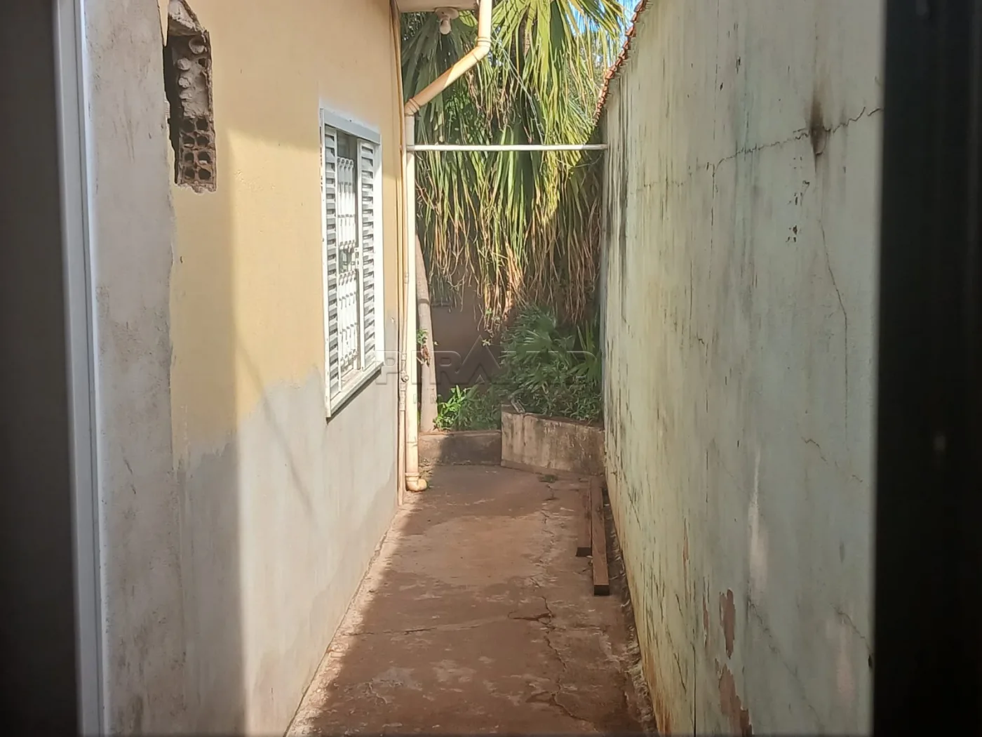 Comprar Casa / Padr&atilde;o em Ribeir&atilde;o Preto R$ 300.000,00 - Foto 13