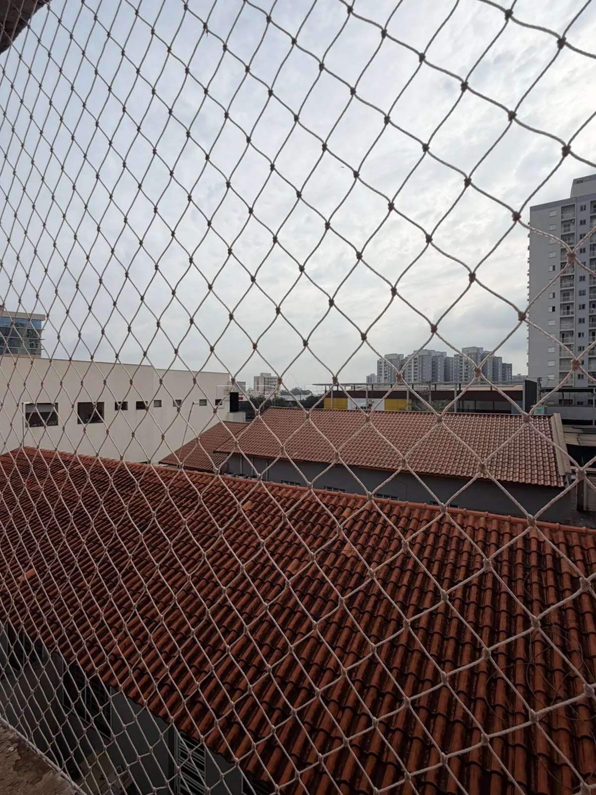 Alugar Apartamento / Padr&atilde;o em Ribeir&atilde;o Preto R$ 1.500,00 - Foto 16