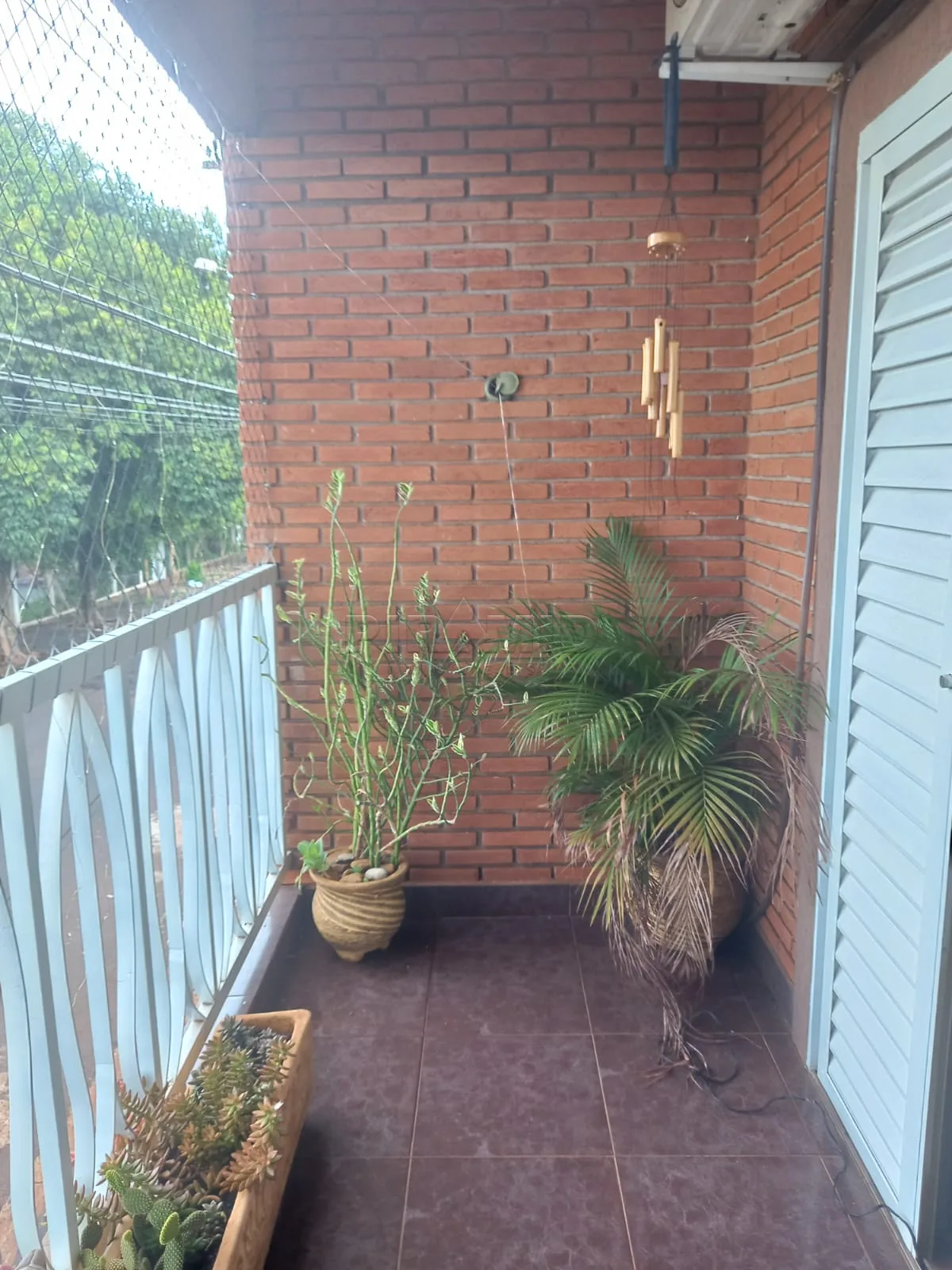 Comprar Casa / Padr&atilde;o em Ribeir&atilde;o Preto R$ 330.000,00 - Foto 11