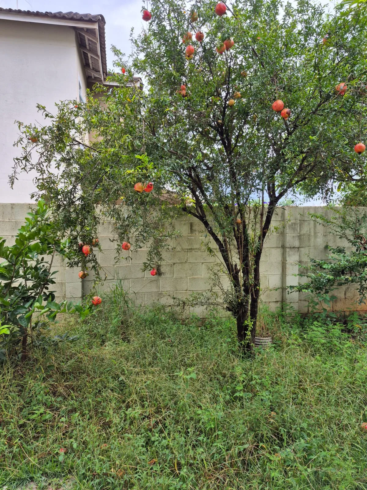 Alugar Casa / Condom&iacute;nio em Ribeir&atilde;o Preto R$ 1.400,00 - Foto 15