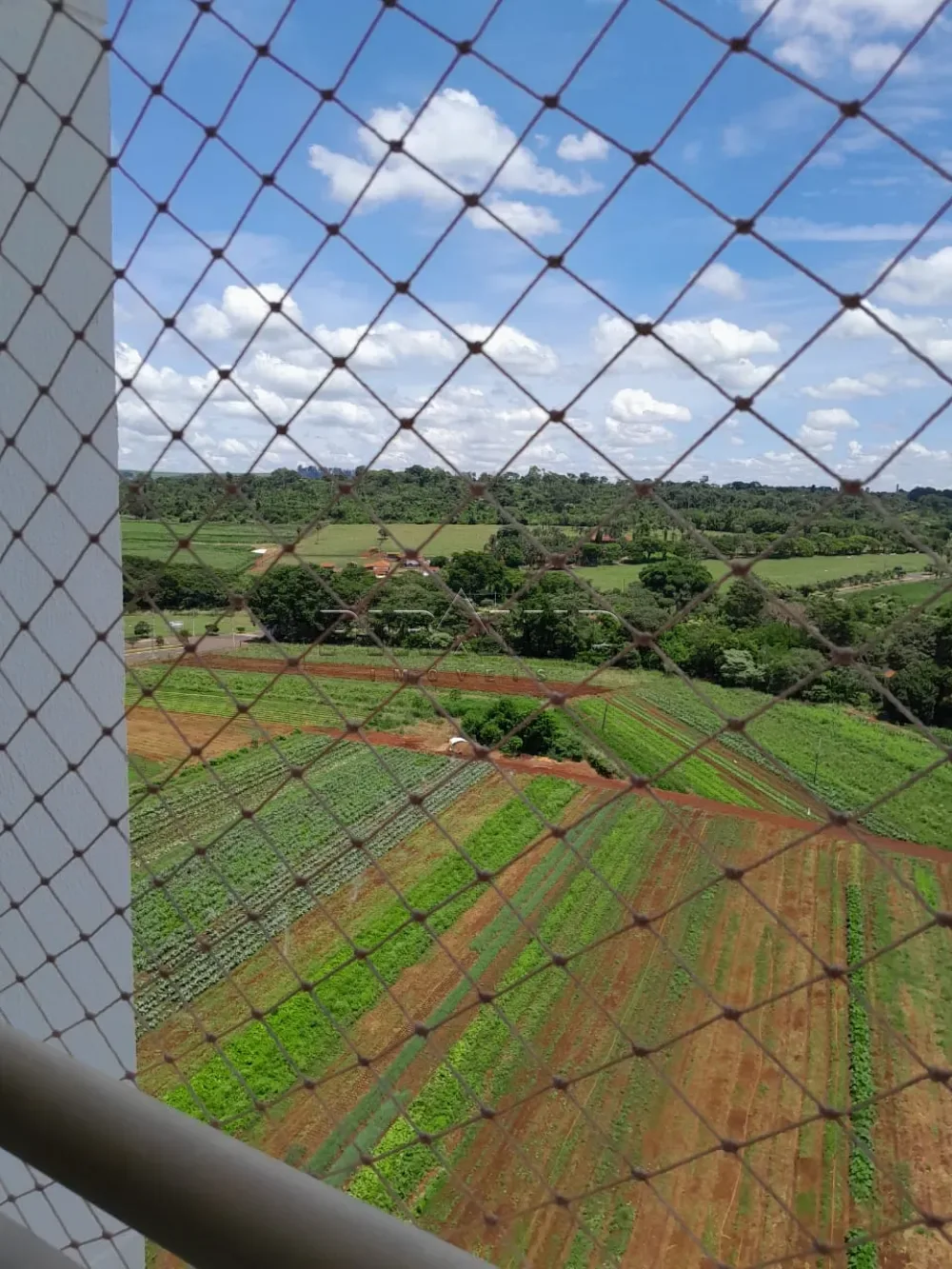 Alugar Apartamento / Padr&atilde;o em Ribeir&atilde;o Preto R$ 3.000,00 - Foto 5