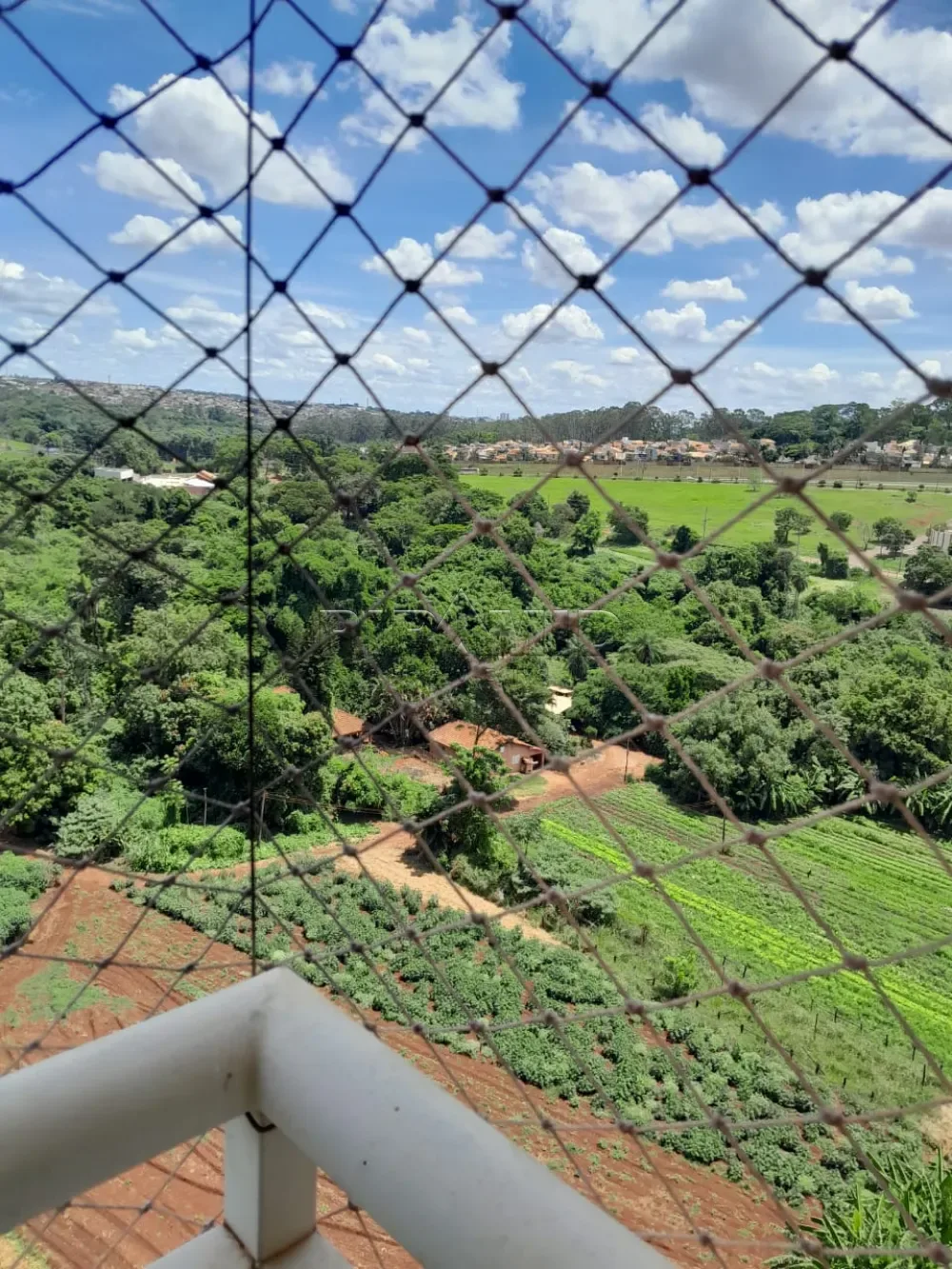 Alugar Apartamento / Padr&atilde;o em Ribeir&atilde;o Preto R$ 3.000,00 - Foto 6