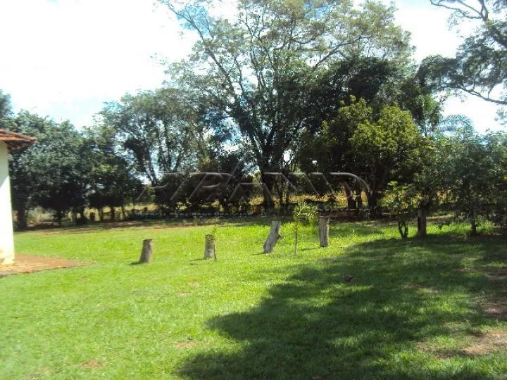 Comprar Terreno / &Aacute;rea em Ribeir&atilde;o Preto R$ 6.250.000,00 - Foto 9