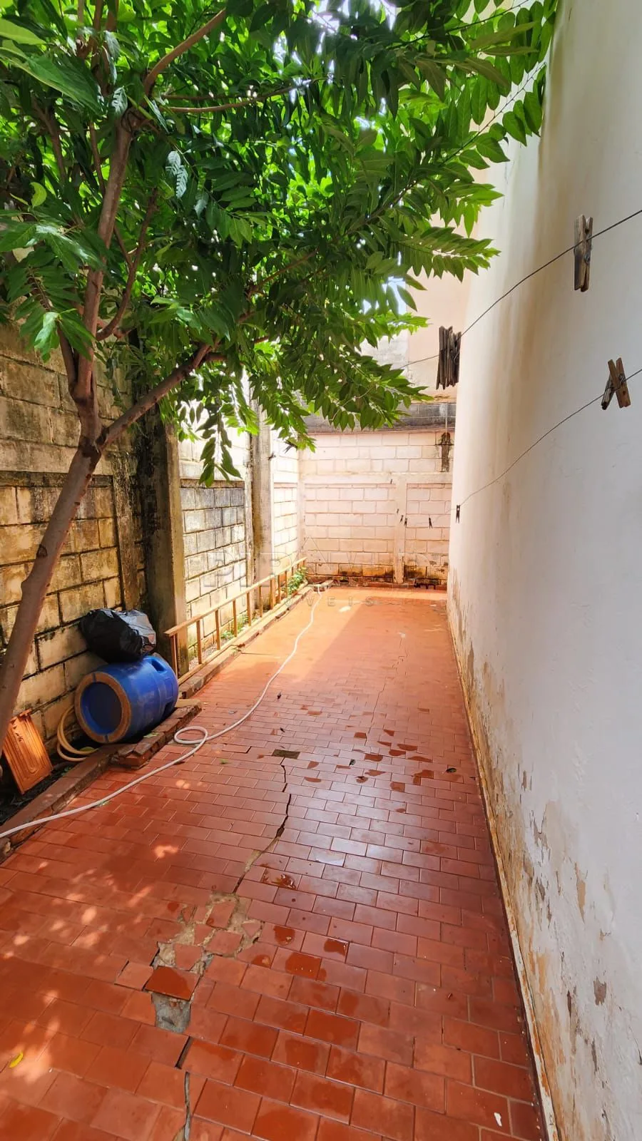 Alugar Casa / Padr&atilde;o em Ribeir&atilde;o Preto R$ 1.250,00 - Foto 15