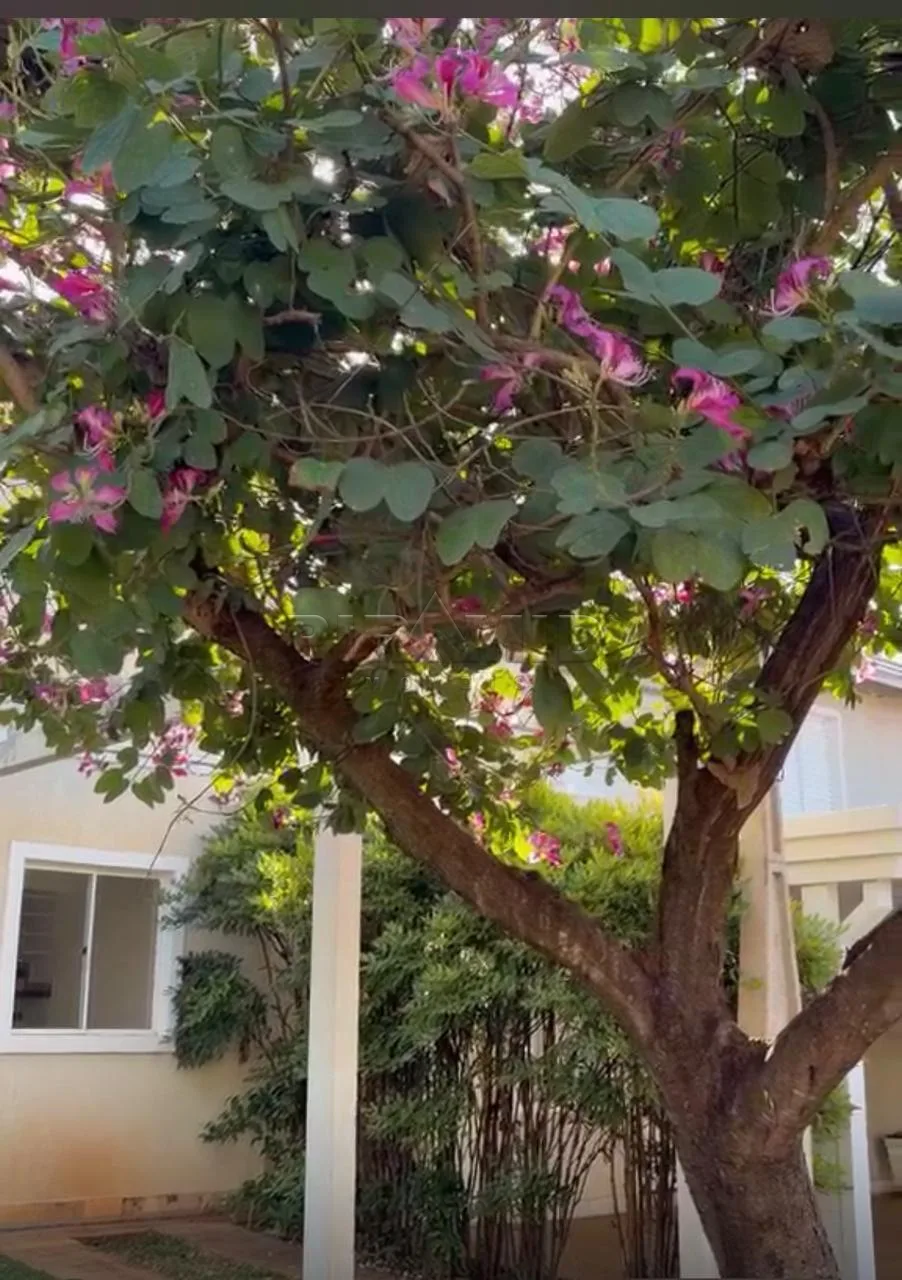 Alugar Casa / Condom&iacute;nio em Ribeir&atilde;o Preto R$ 2.000,00 - Foto 23