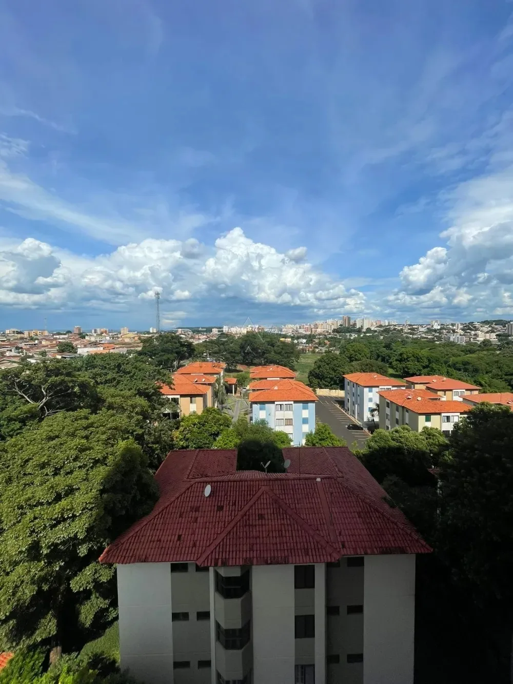 Alugar Apartamento / Padr&atilde;o em Ribeir&atilde;o Preto R$ 2.000,00 - Foto 5