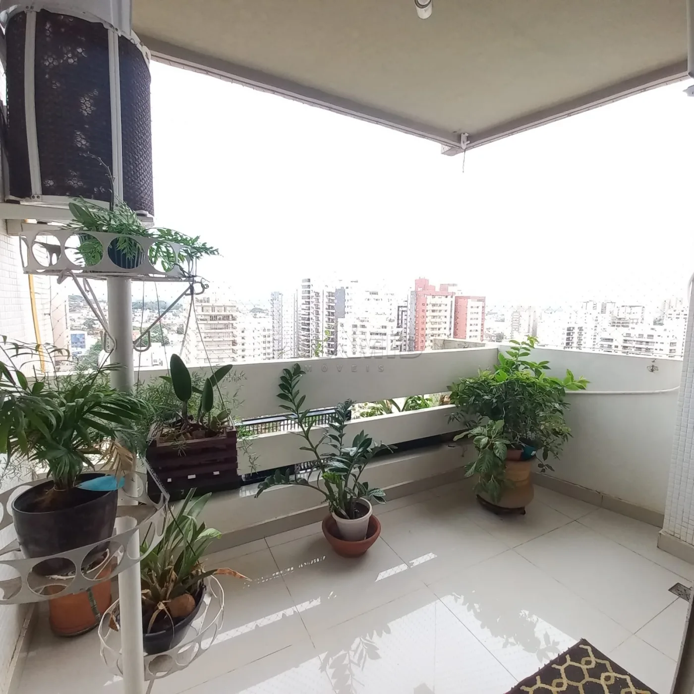 Alugar Apartamento / Padr&atilde;o em Ribeir&atilde;o Preto R$ 780,00 - Foto 4