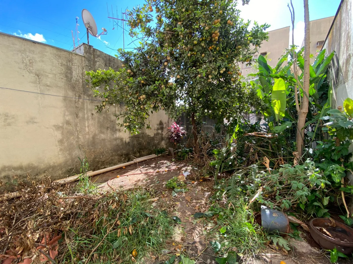Alugar Casa / Padr&atilde;o em Ribeir&atilde;o Preto R$ 2.500,00 - Foto 15