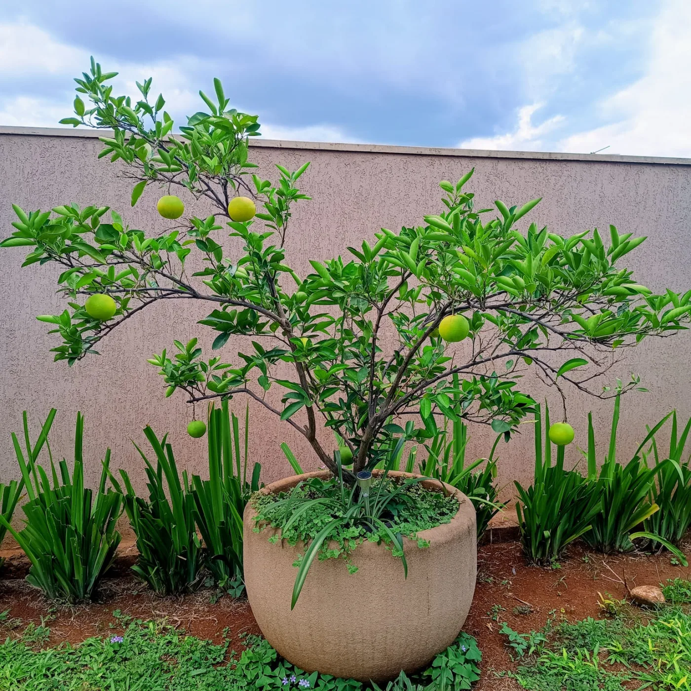 Comprar Casa / Padr&atilde;o em Ribeir&atilde;o Preto R$ 995.000,00 - Foto 35