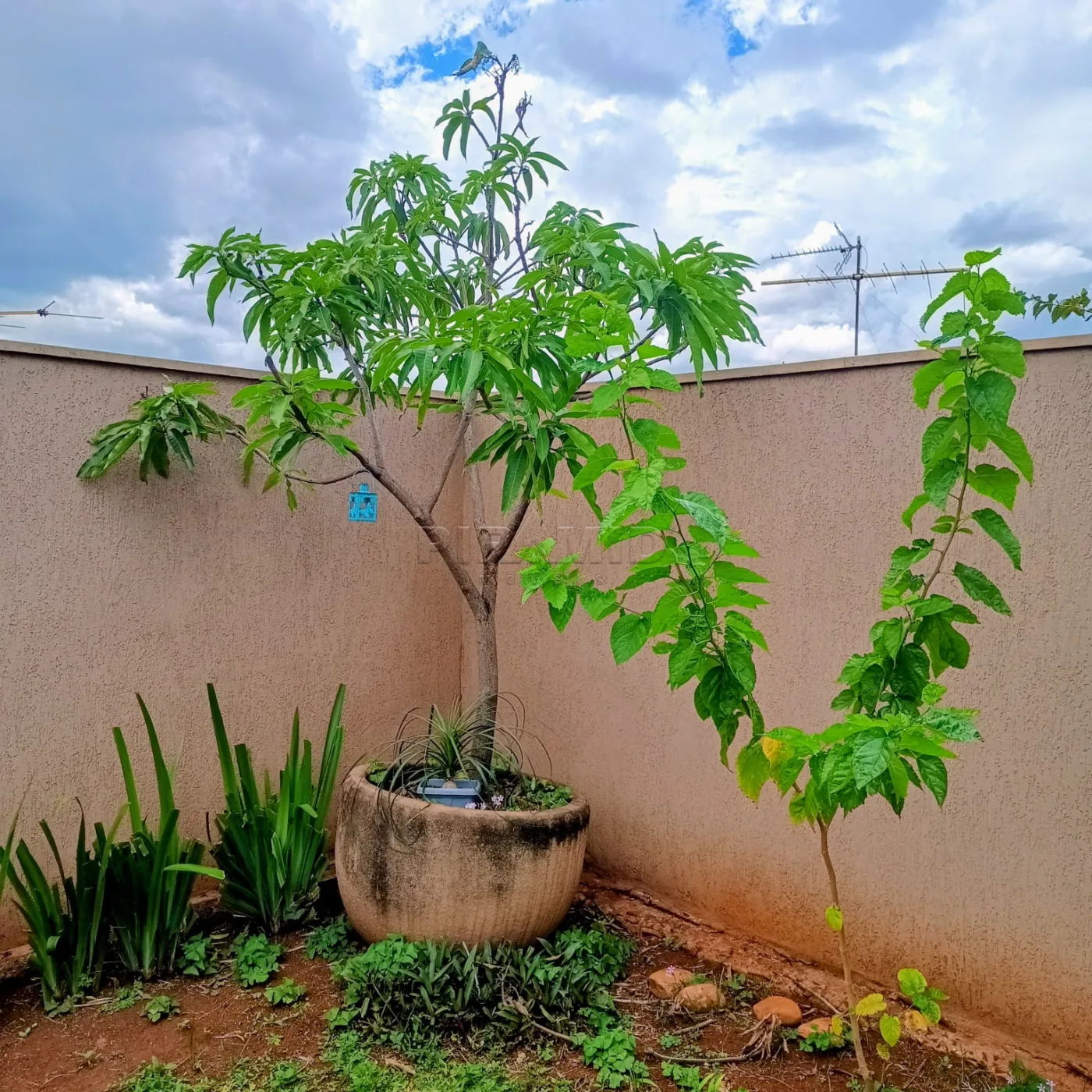 Comprar Casa / Padr&atilde;o em Ribeir&atilde;o Preto R$ 995.000,00 - Foto 36