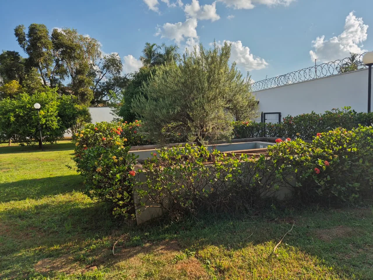 Alugar Casa / Padr&atilde;o em Ribeir&atilde;o Preto R$ 11.000,00 - Foto 17