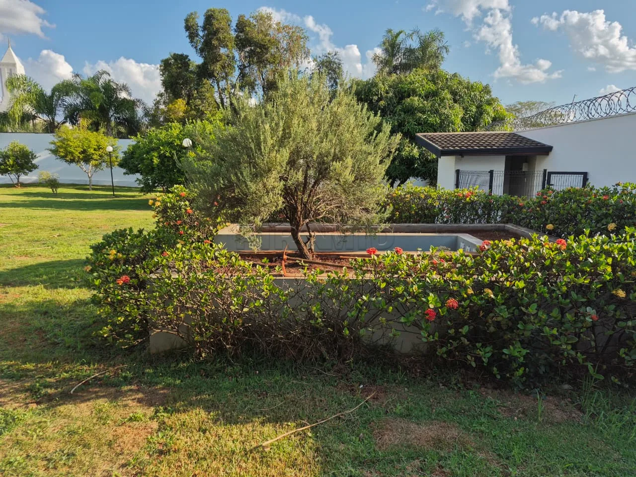 Alugar Casa / Padr&atilde;o em Ribeir&atilde;o Preto R$ 11.000,00 - Foto 18