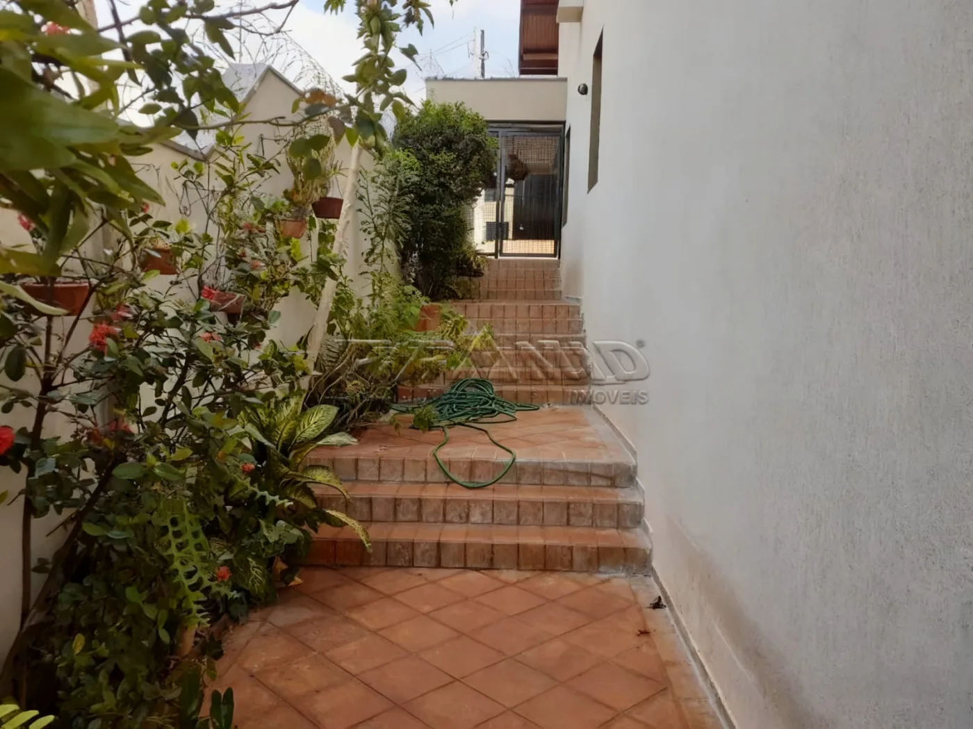 Alugar Casa / Padr&atilde;o em Ribeir&atilde;o Preto R$ 8.000,00 - Foto 26