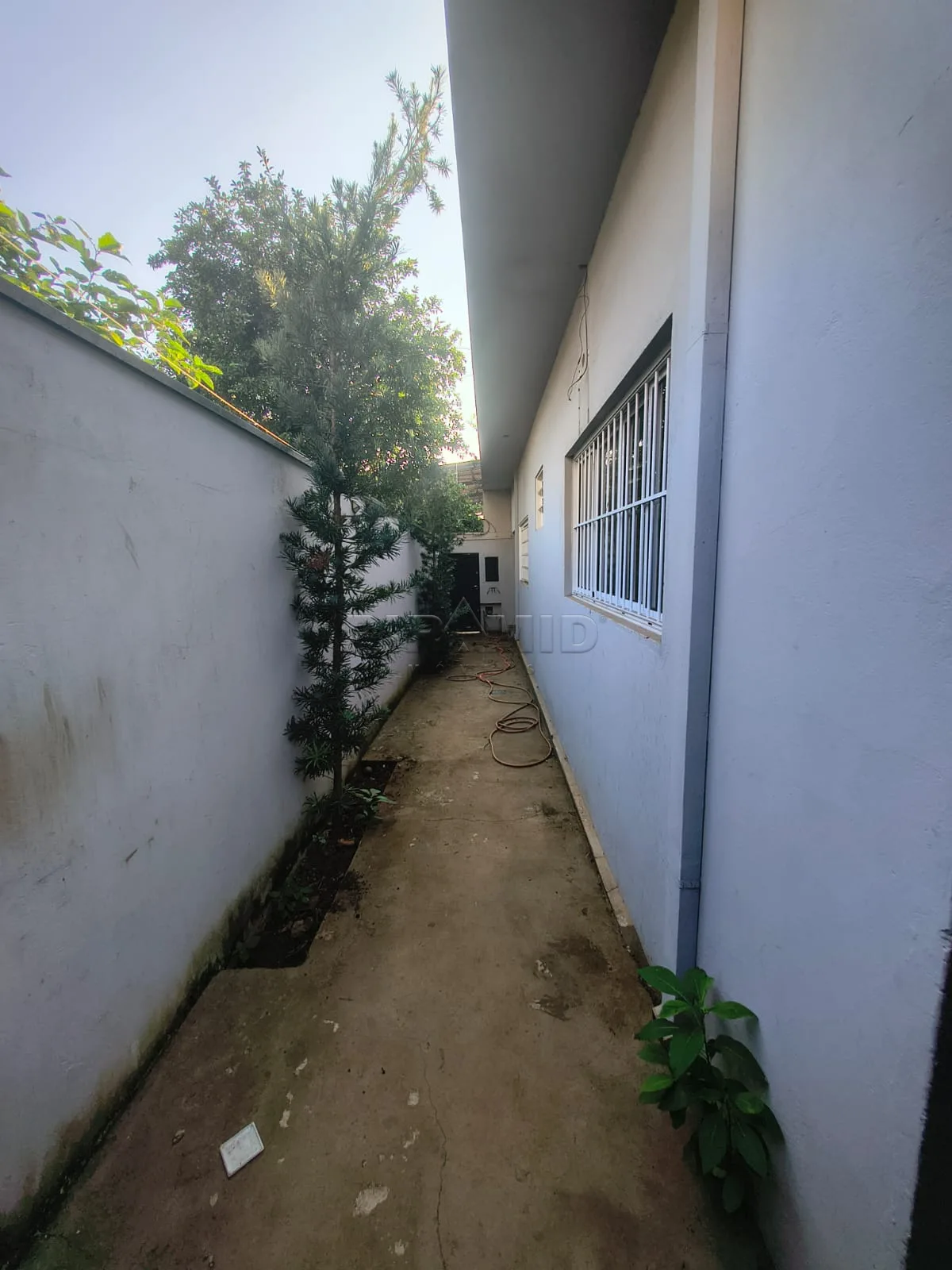 Alugar Comercial / Ponto Comercial em Ribeir&atilde;o Preto R$ 2.600,00 - Foto 11