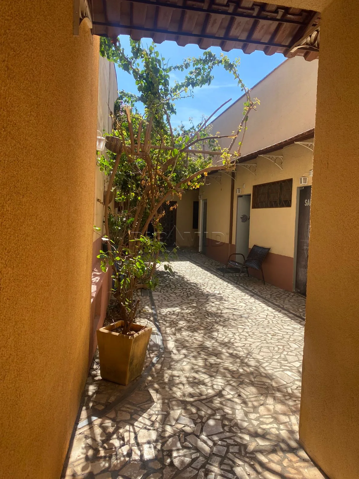 Alugar Comercial / Sala em Ribeir&atilde;o Preto R$ 1.500,00 - Foto 1