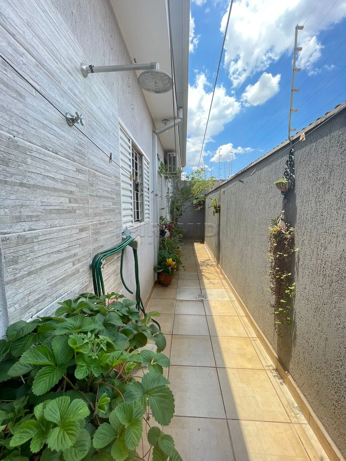 Comprar Casa / Padr&atilde;o em Ribeir&atilde;o Preto R$ 310.000,00 - Foto 16