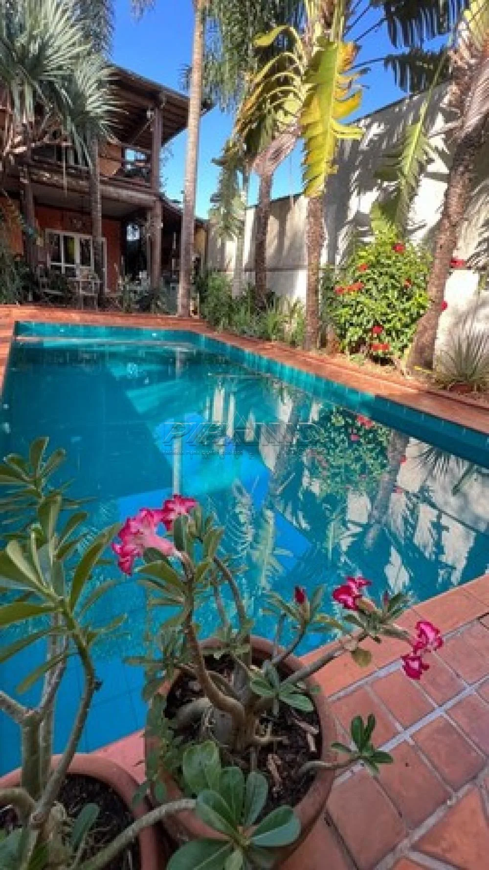 Alugar Casa / Padr&atilde;o em Ribeir&atilde;o Preto R$ 8.500,00 - Foto 1