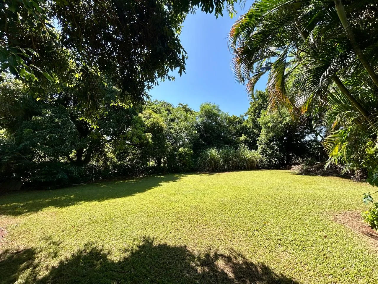 Alugar Casa / Padr&atilde;o em Ribeir&atilde;o Preto R$ 4.000,00 - Foto 8