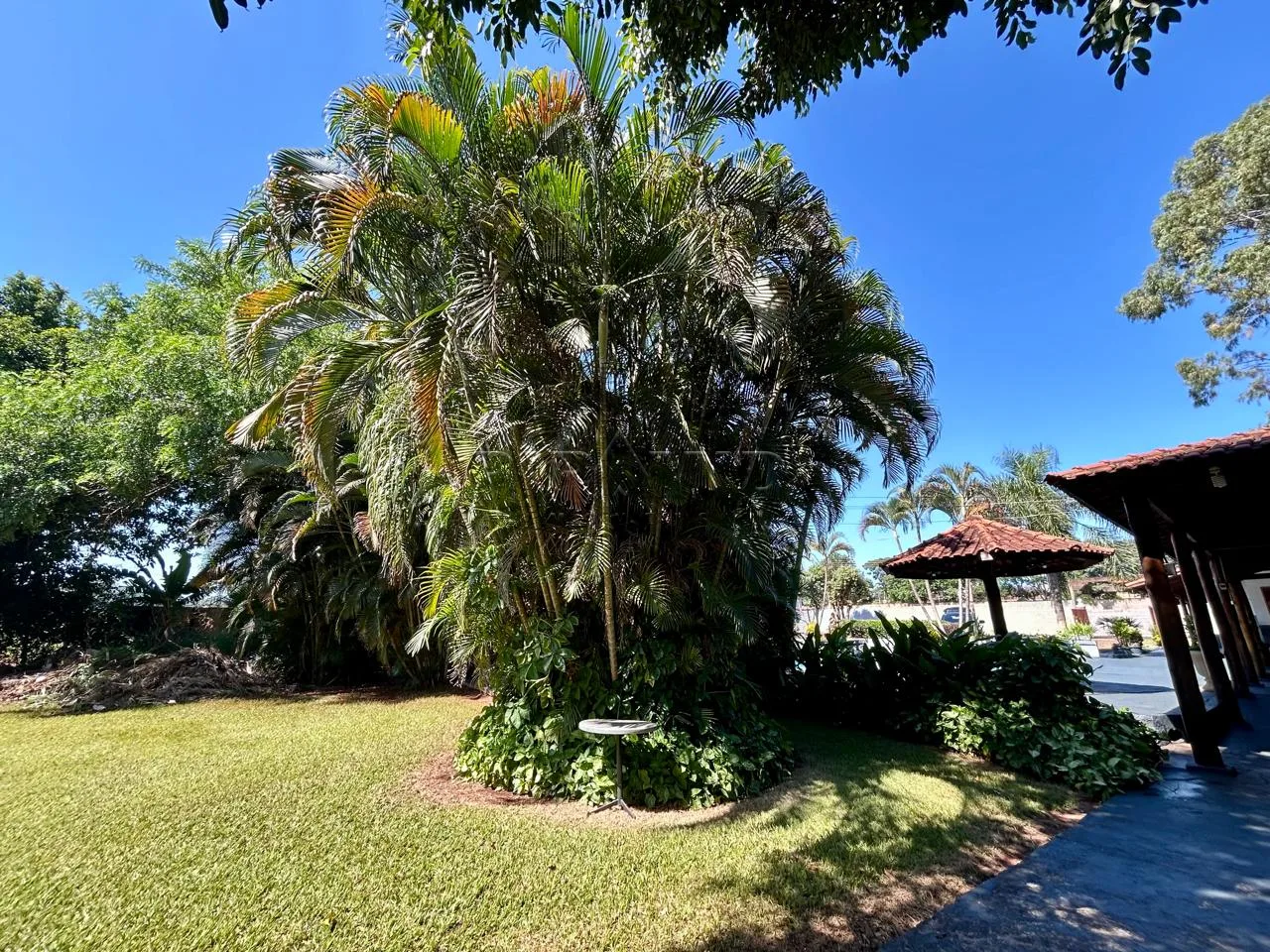 Alugar Casa / Padr&atilde;o em Ribeir&atilde;o Preto R$ 4.000,00 - Foto 10